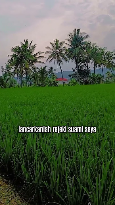 YOU HAVE TO KNOW #motivationalwords #goodwords #quotes #ricefields #thank #storywa #motivationaln...