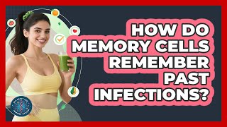 How Do Memory Cells Remember Past Infections? - All About the Immune System