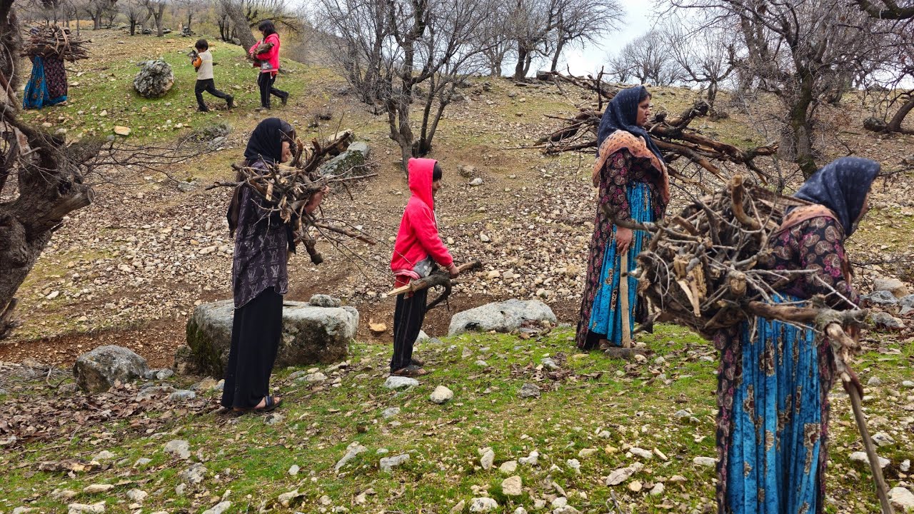 Nomadic life in the mountains 🏔️: Nomadic woman collecting firewood on ...