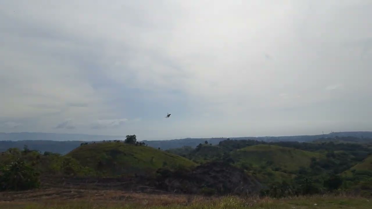 Gak pernah ngecewain aksi Noah dan Zoya bird free flight FF