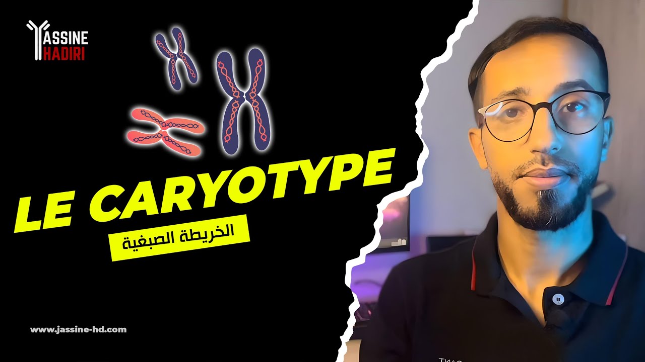 الخريطة الصبغية | Le caryotype