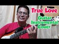 True love  roque fenis guitar instrumental cover