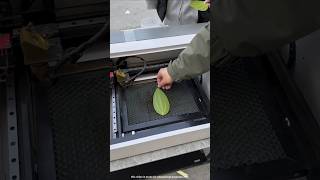 China New Leaf Design Goes Viral