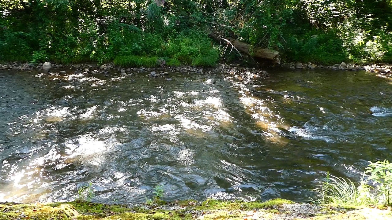 Soco Creek Cherokee, NC YouTube