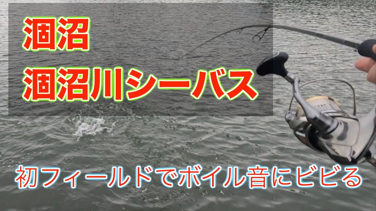 【涸沼・涸沼川シーバス】ここのシーバスのボイル音は心臓に悪い／メジャークラフト新製品のタイドリフト ワンシャッドでHIT!!