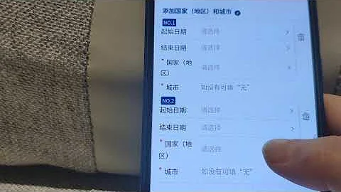海关旅客指尖服务填写技巧 - 天天要闻