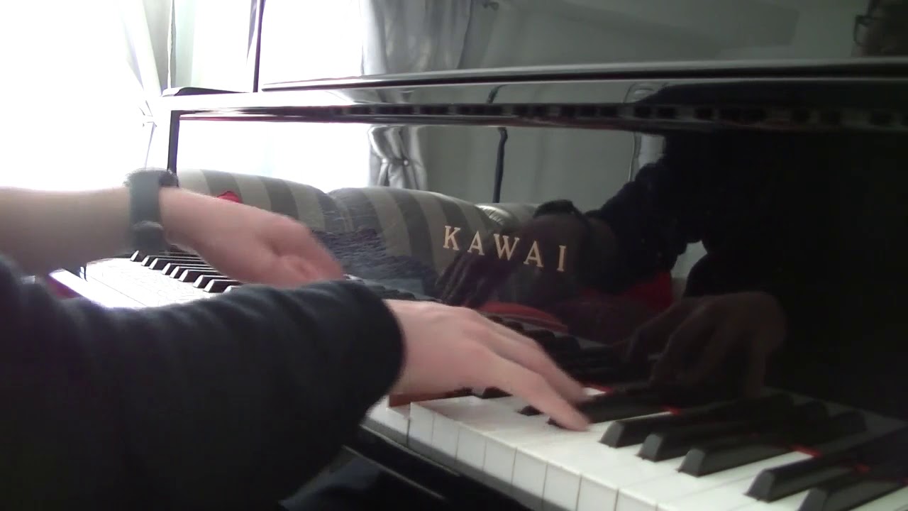 when the party's over  / The Night We Met - Billie Eilish/Lord Huron mashup