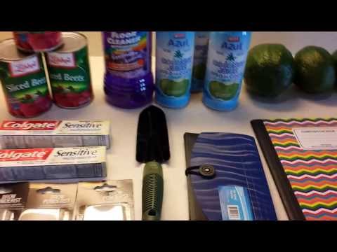 Dollar Tree Haul! Yes, Preppers you can use Coupons at Dollar Tree to build Preps ! :)