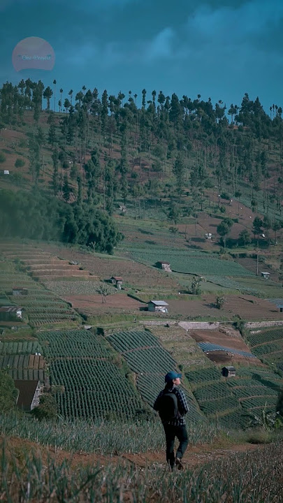 MOUNTAINS SLAMET IN CENTRAL JAVA #beautiful #shortsvideo #shortsyoutube #montains #asia #java