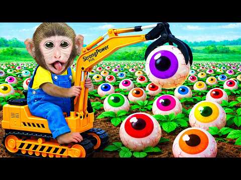 Monkey MoMo Drives Tractor and Baby Monkey Harvest Candies and Make Giant Rainbow Ice Cream 🍬🚜🐵