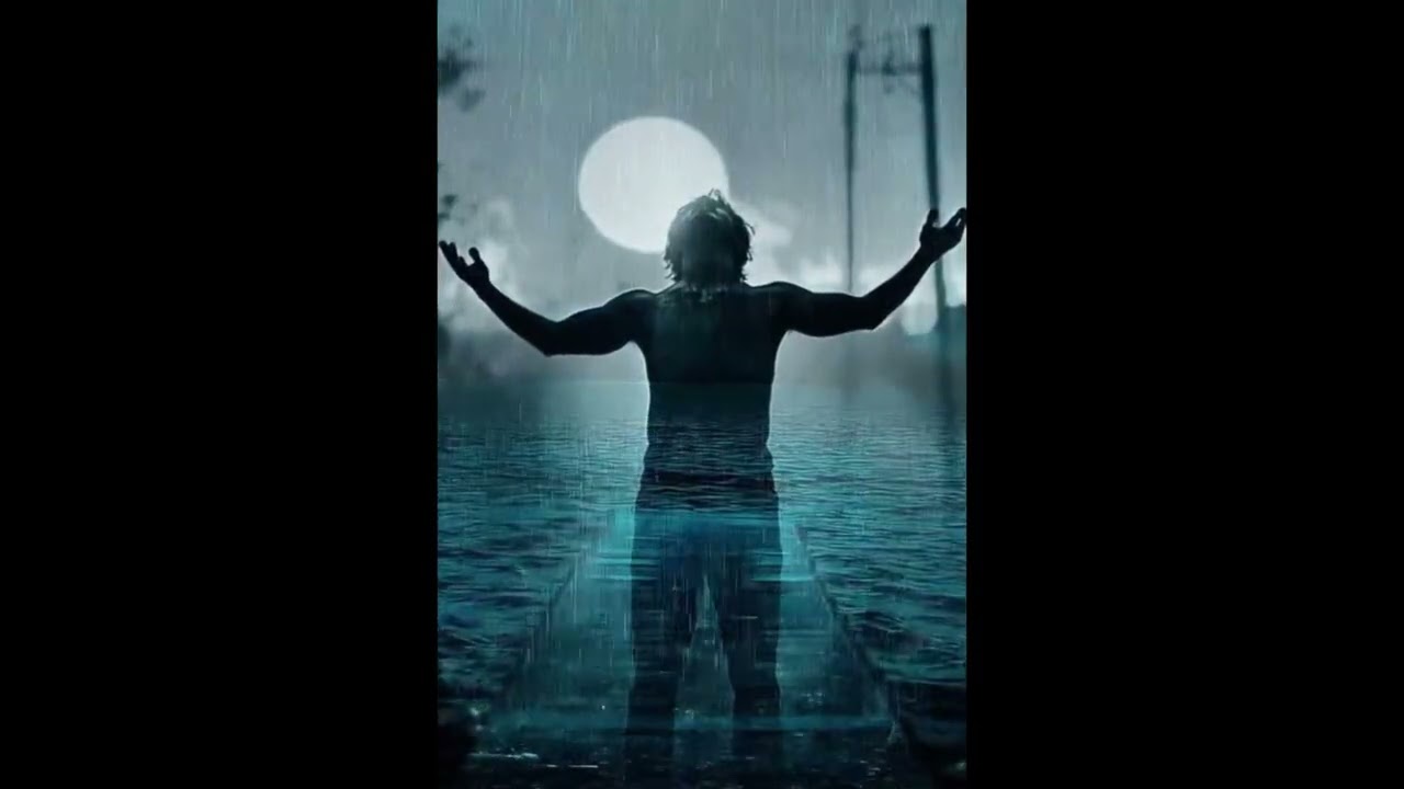 @JX9006 - La Cicatriz del Gris (Oficial )