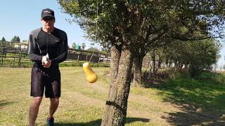 The COMODOR&#39;S guide to Expert swordsmanship...