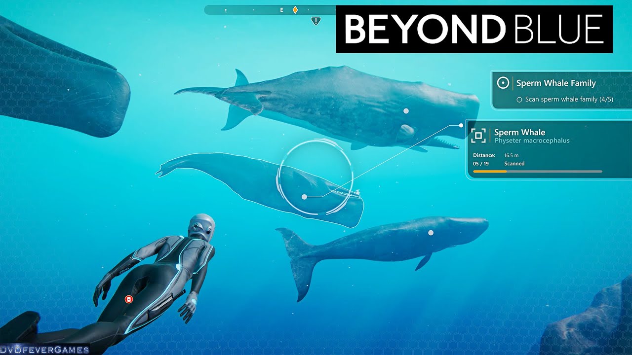 **FREE GAME NOW!** BEYOND BLUE - Longplay - PC (4K UHD 60fps, ULTRA ...