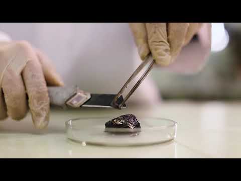 ტუტე მეტალებისა და კალციუმის ნარჩენების უტილიზაცია