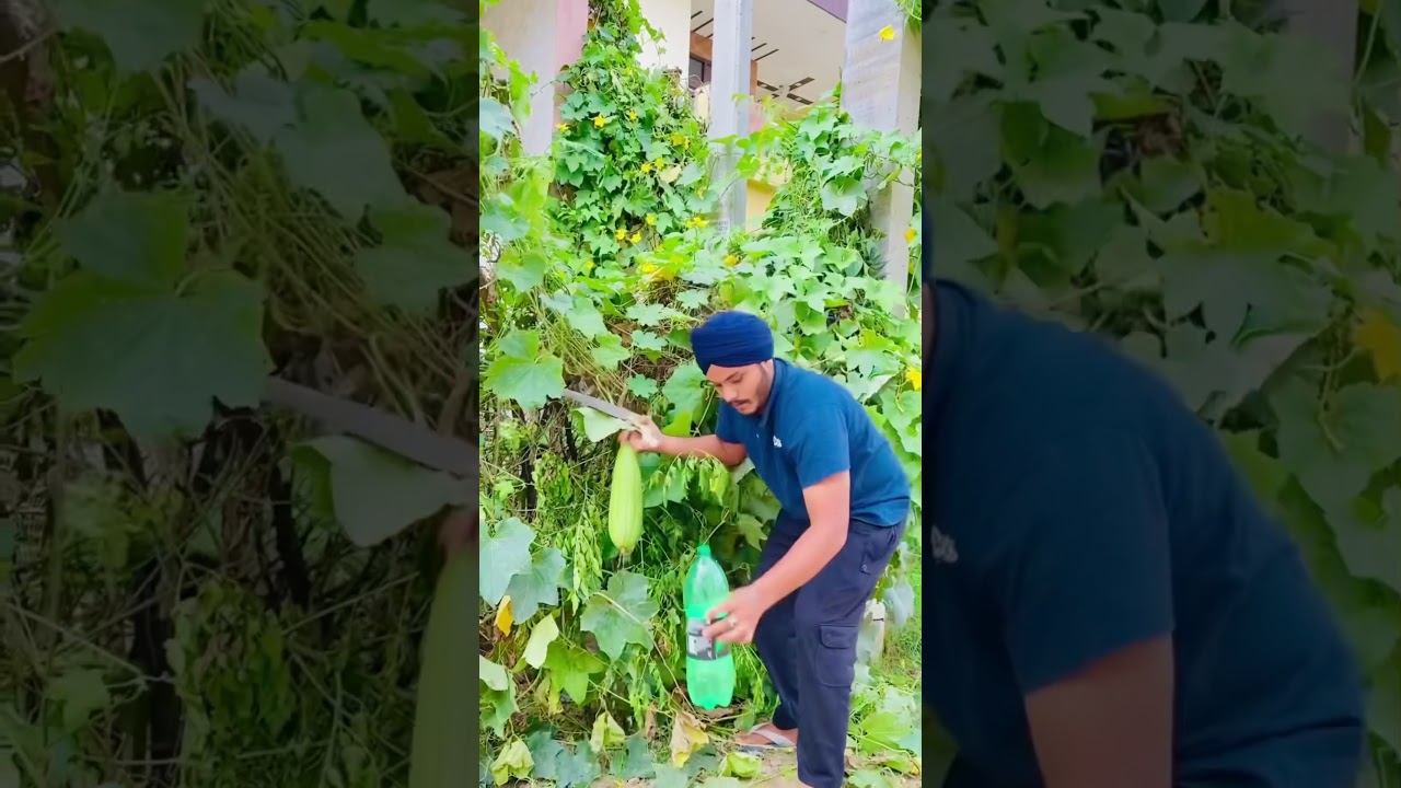 #punjabi #viralvideo #comedy #shorts #foryou 🤣ਹੱਸਣਾ ਜਰੂਰੀ ਹੈ🤣 ਲਵਲੀ ਕੋਹਾਲੀ non stop comedy videos