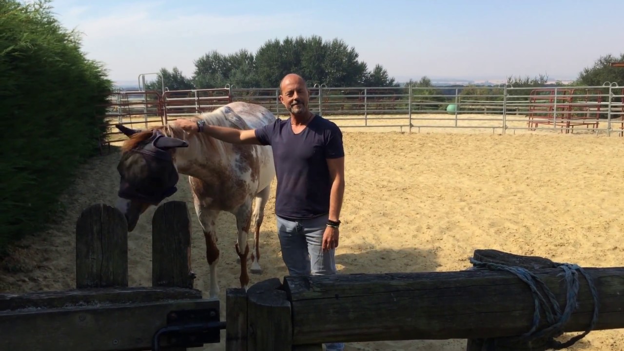 Equi-Coaching Comme mieux communiquer grâce au cheval