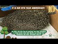 It is our 10th Year Anniversary - Hornbeam Wood Hedgehog Sanctuary