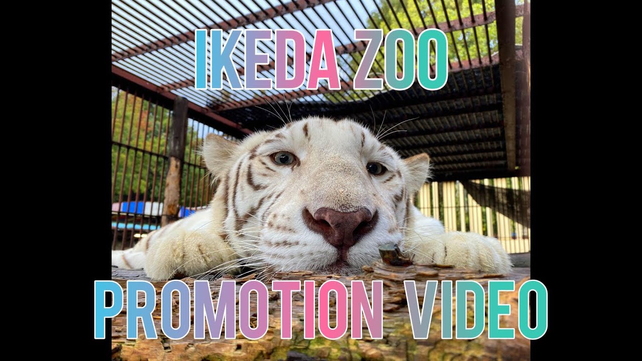 【池田動物園公式】