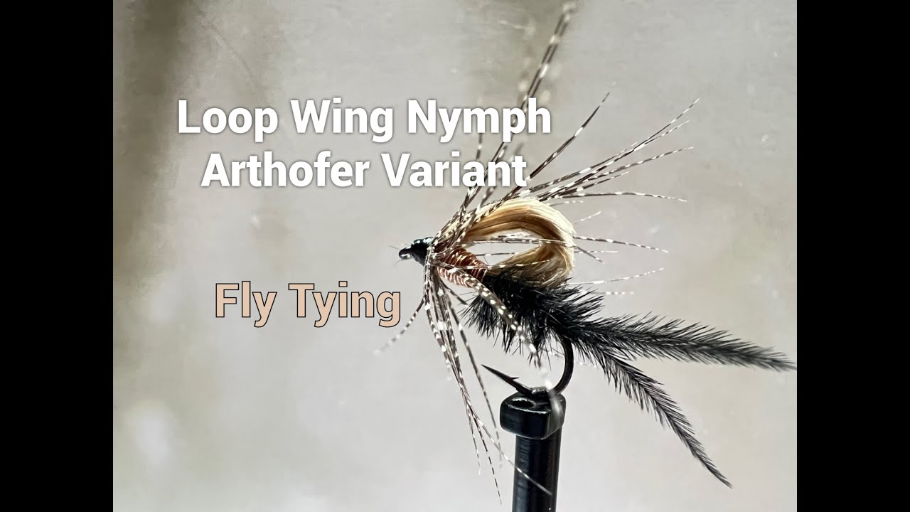 Нимфа Loop Wing Nymph Arthofer Variant Как связать от GM FLY - YouTube
