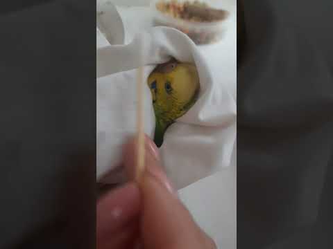 Для профилактики 'мазь