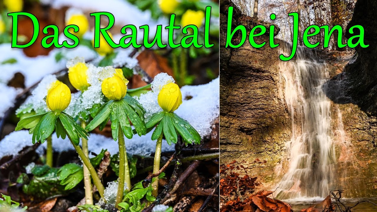 Das Rautal bei Jena / Winterlinge, Wasserfall  / Wandern in Thüringen / Time-Lapse  4K