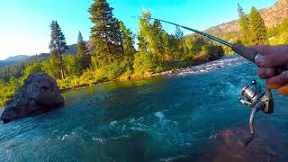 Truckee River Pleasure Before Taking Care of Business (Off HWY80, CA)