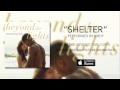Birdy - Shelter (Beyond The Lights Soundtrack)