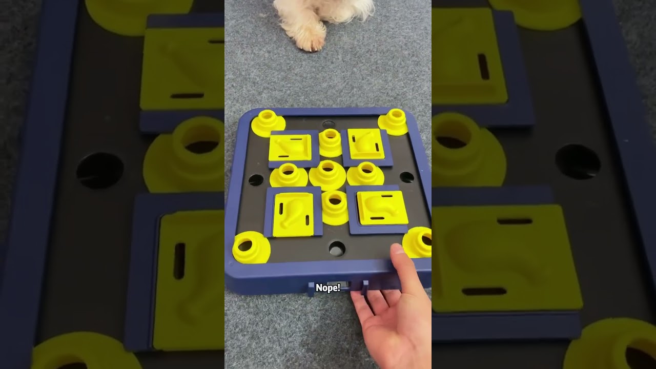 This is a 1- better- than-3 puzzle dog toy! 