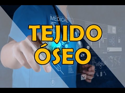 Vídeo: Fibra Dietética: Ir Más Allá De La Clasificación 