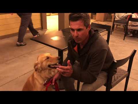 Video: Mājas vizīte: būtiska sastāvdaļa, lai pieņemtu suni