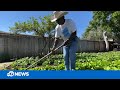 Meet Mississippi Joe, 72-year-old Bay Area man using his garden to cultivate close-knit community