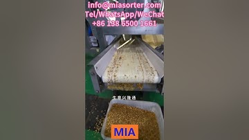 Frozen Corn Color Sorter Machine Manufacturers Exporters Suppliers Wholesale Price in India Spain UK