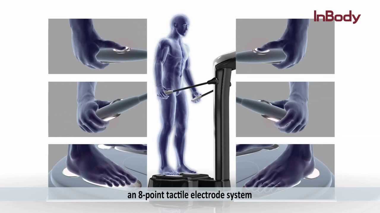 Example of a bioelectrical impedance analysis (BIA) segmen…