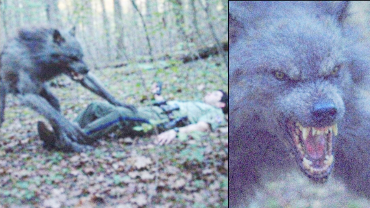 Ranger's BodyCam Footage Shows TERRIFYING Dogman Encounter — Yellowstone National Park  — Stories