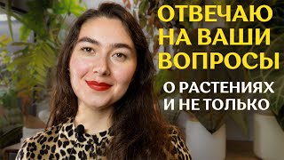 видео: САМОЕ дорогое РАСТЕНИЕ в коллекции | кем РАБОТАЮ на САМОМ ДЕЛЕ | про любимые УДОБРЕНИЯ, ГРУНТ и КОТА картинка: САМОЕ дорогое РАСТЕНИЕ в коллекции | кем РАБОТАЮ на САМОМ ДЕЛЕ | про любимые УДОБРЕНИЯ, ГРУНТ и КОТА
