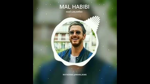 Thumbnail of MAL_HABIBI__Saad Lamjarred__Video_Song