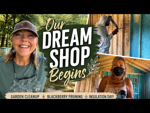 The Cottage Apothecary Build Begins! | Garden Cleanup & Shop Build Progress