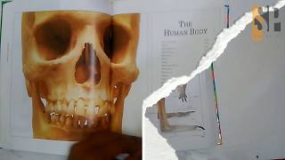 Visual Dictionary Review SP