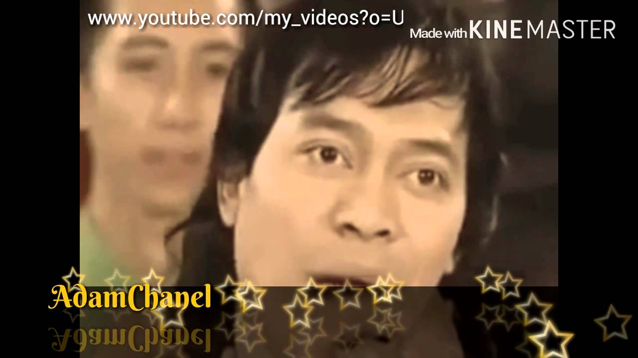 KOMENG VS KOMAR,SUPER LUCU