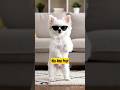 Coolest Dog Ever! 🕶️ Dancing to Hip-Hop Beat #shortvideo #trending #cute #viral #shorts