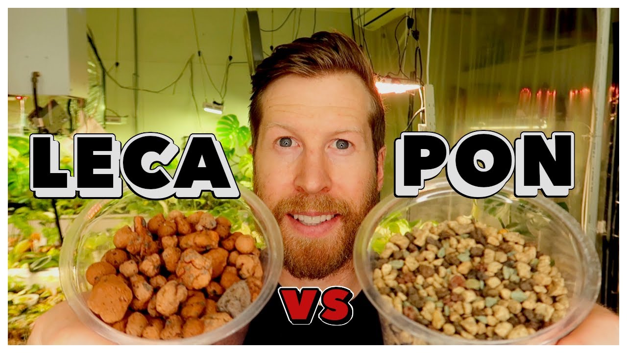 PON vs LECA vs PERLITE vs STRATUM Semi Hydro Media Comparison YouTube