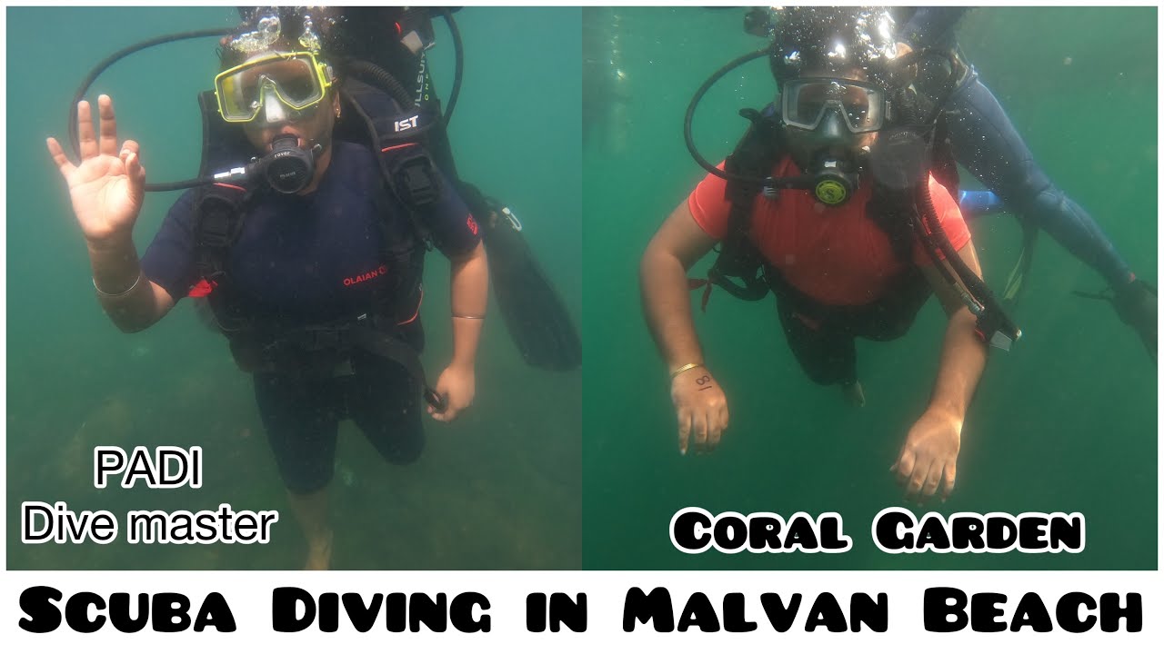Scuba Diving PADI Dive Master Malvan Beach Coral Garden