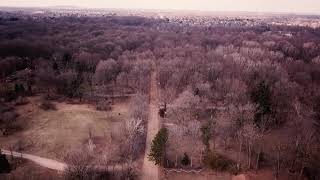 Nature Continues to Disappear in Canton, MI