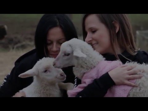 Igualdad Animal llega a los 2 millones en Facebook