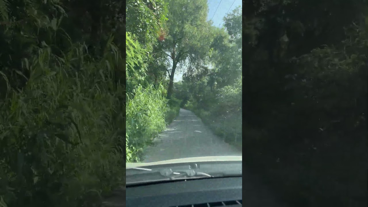 Unexplored Experiences - Angel Farm Dholbaha Hoshiarpur  