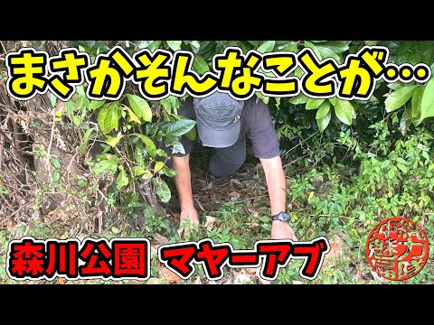 【森川公園】心霊スポットとしても有名な森川公園の森を彷徨いマヤーアブを探せ！ジャングル探検をしていたら、まさかそんなことが・・・