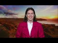 Gang patch ban: 'tough on crime' or 'a gimmick'? | TVNZ Breakfast