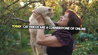 What Was the First Cat Video on YouTube? The Origins of 'I am a kitty cat (Cat Facts 30)