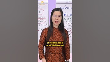 Thay đổi cuộc đời bằng 1 thói quen: Đi tìm giải pháp thay vì than phiền