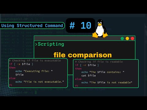 Linux File Test Operators Explained  | Compare Files with -e, -f, -nt, and More! #shellscripting10